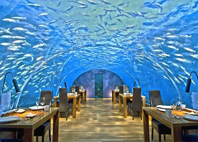 ресторан под водой ресторан под водой